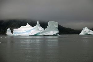  Icebergs  Prince Christian Sound